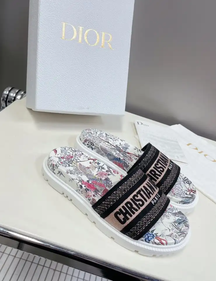 hype Christian Dior Slippers