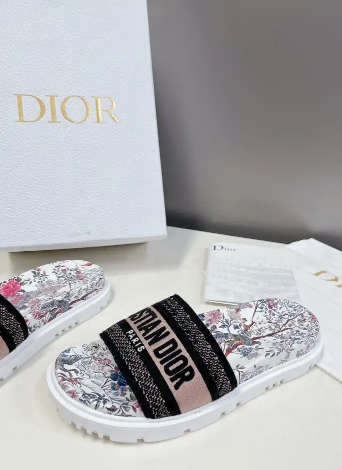 hype Christian Dior Slippers