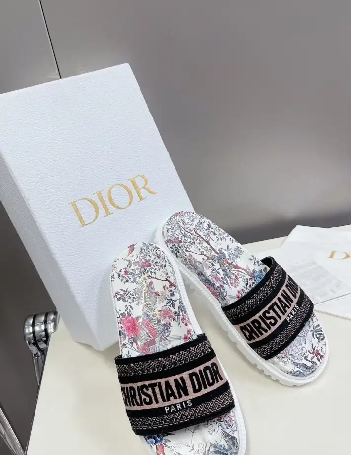 hype Christian Dior Slippers