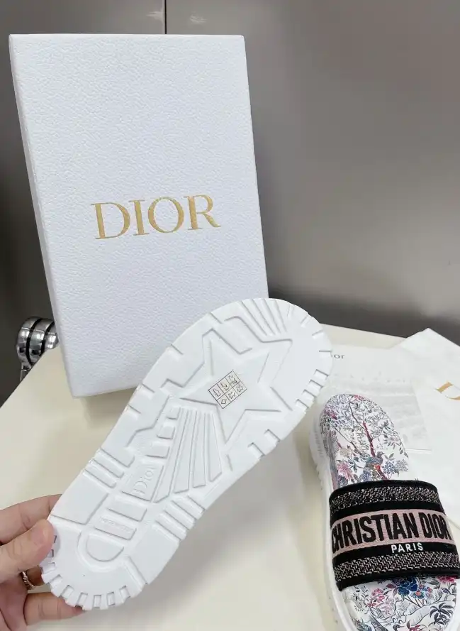 hype Christian Dior Slippers