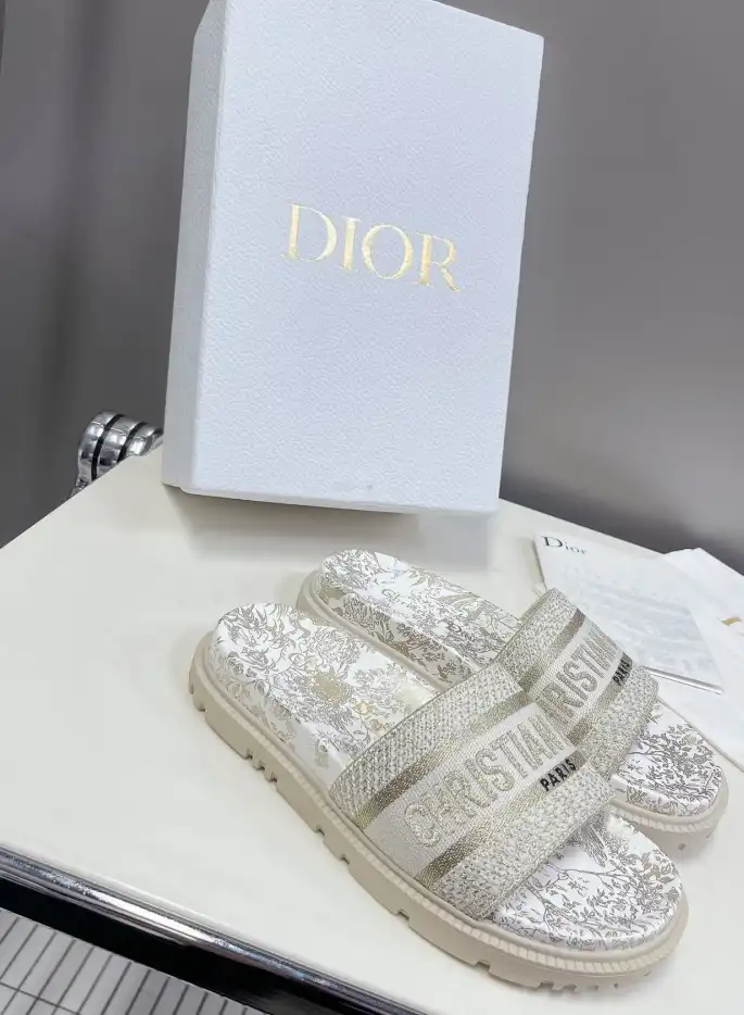 hype Christian Dior Slippers