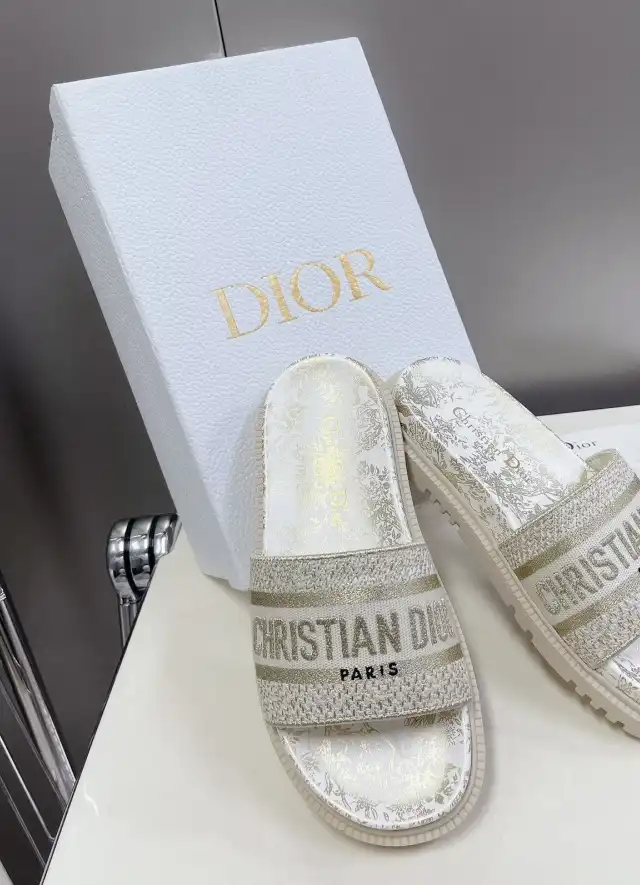 hype Christian Dior Slippers