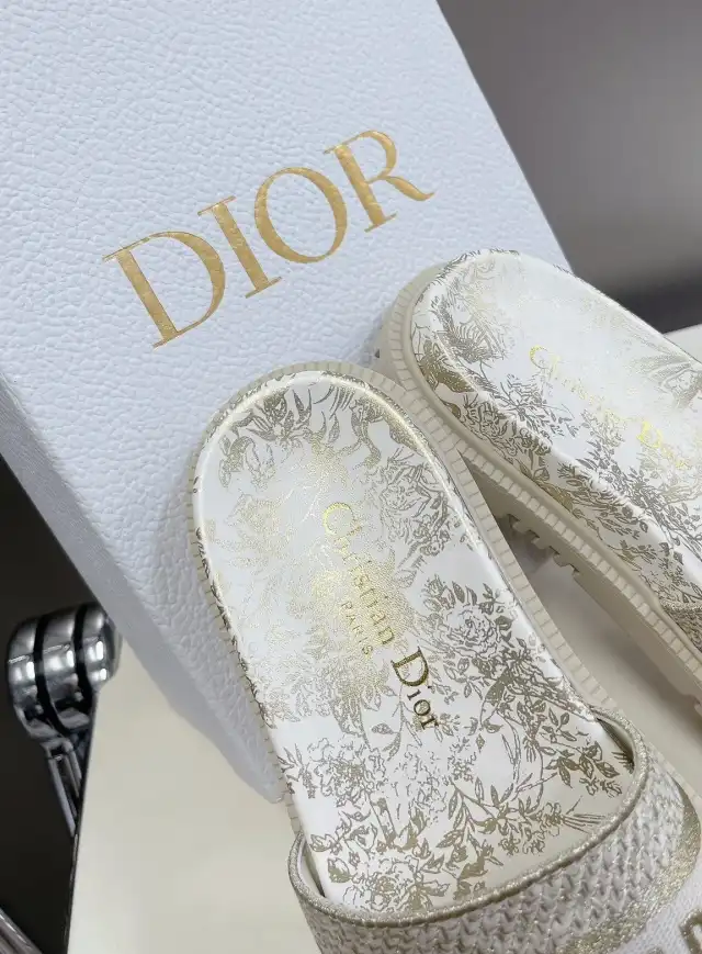 hype Christian Dior Slippers