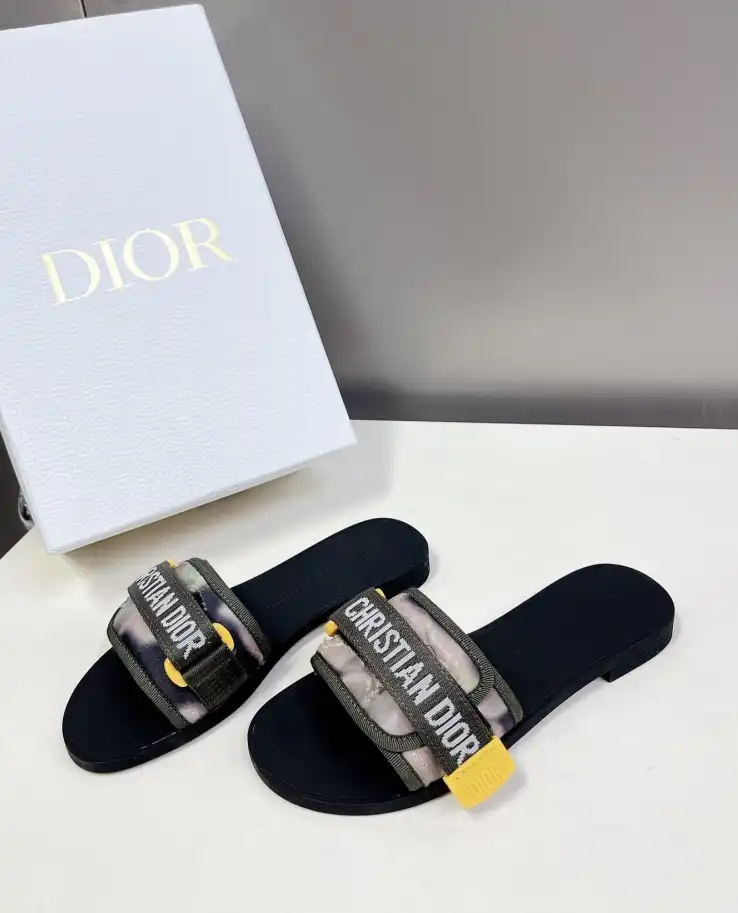 hype Christian Dior Slippers