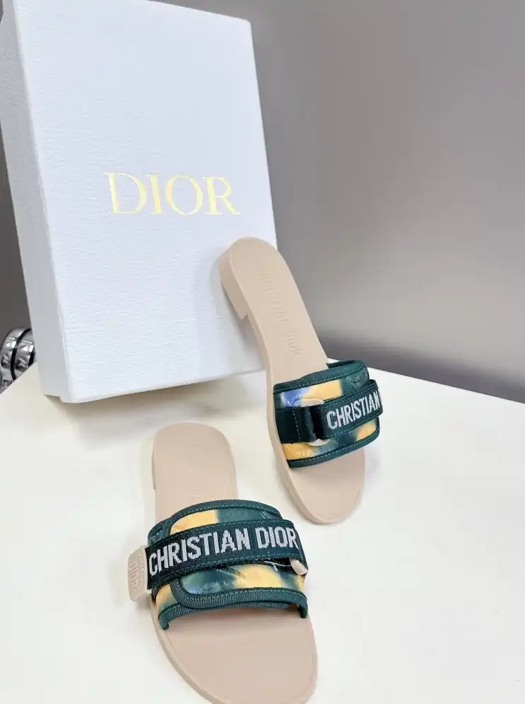 hype Christian Dior Slippers