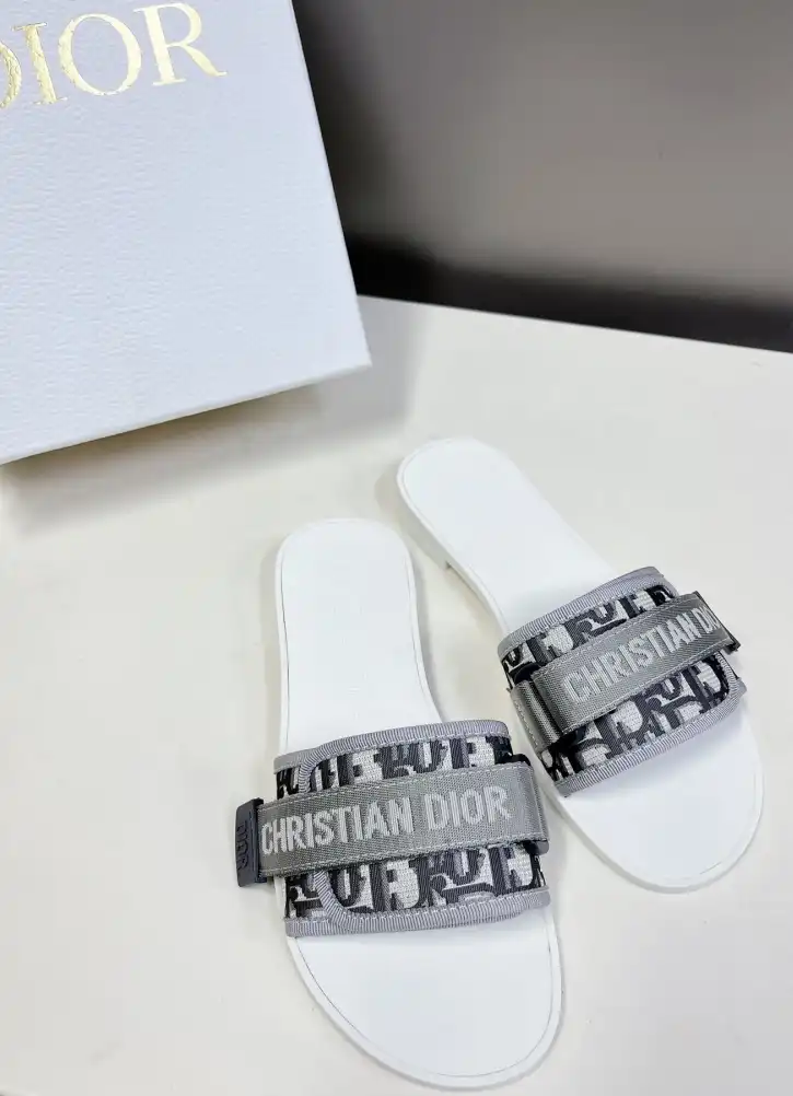 hype Christian Dior Slippers