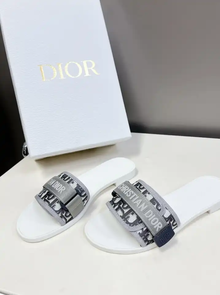 hype Christian Dior Slippers