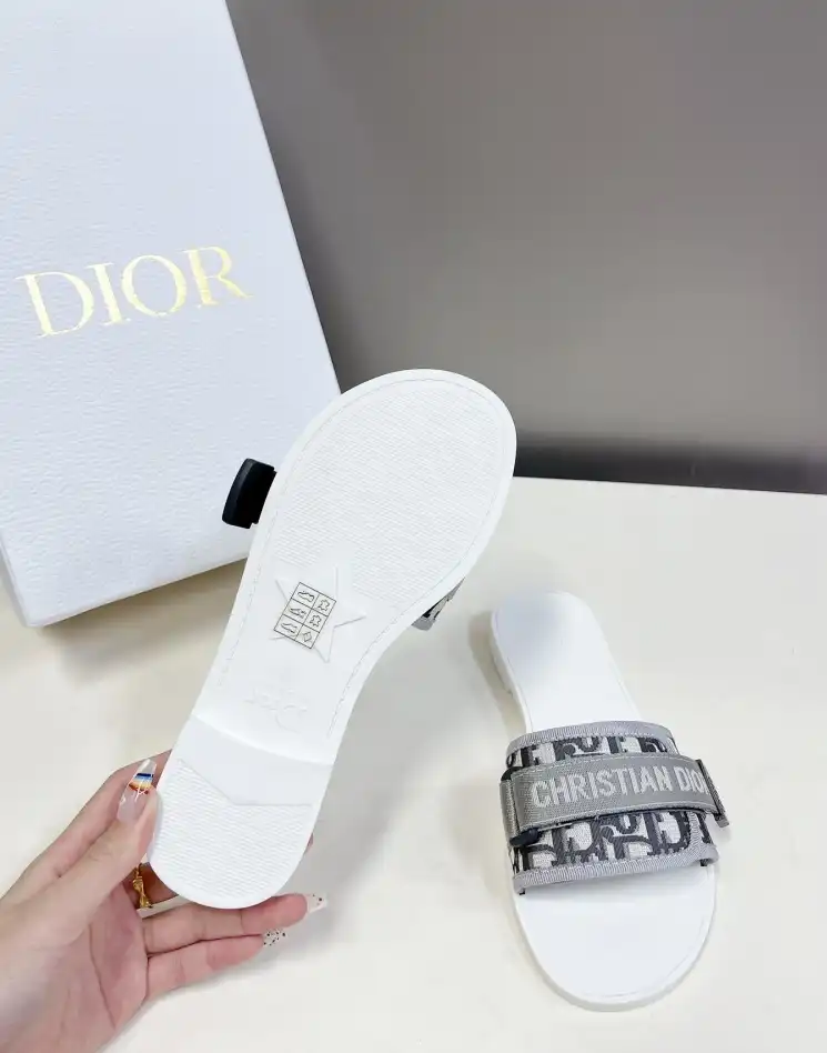 hype Christian Dior Slippers