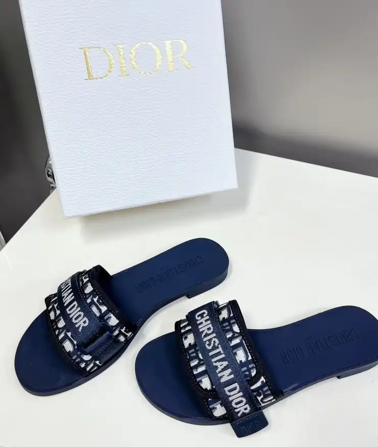 hype Christian Dior Slippers