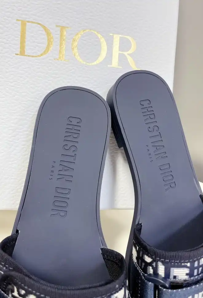 hype Christian Dior Slippers