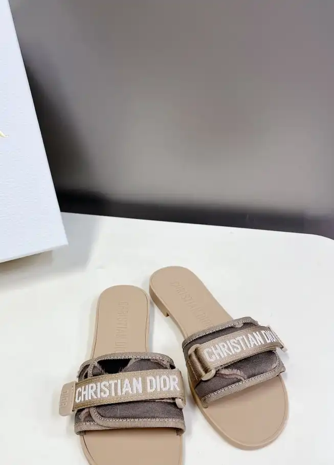 hype Christian Dior Slippers