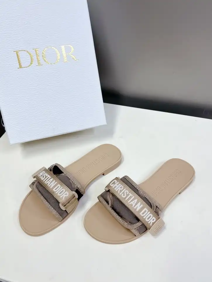 hype Christian Dior Slippers