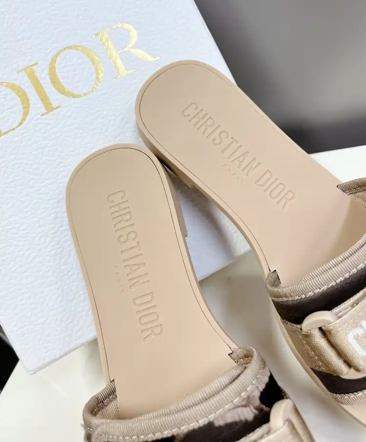 hype Christian Dior Slippers