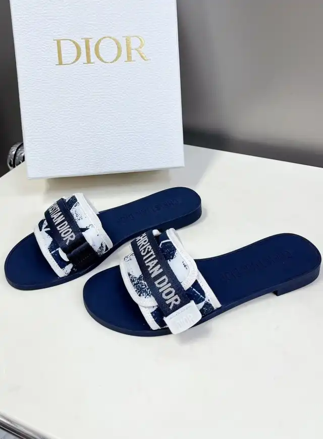 hype Christian Dior Slippers