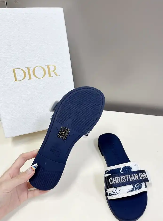 hype Christian Dior Slippers