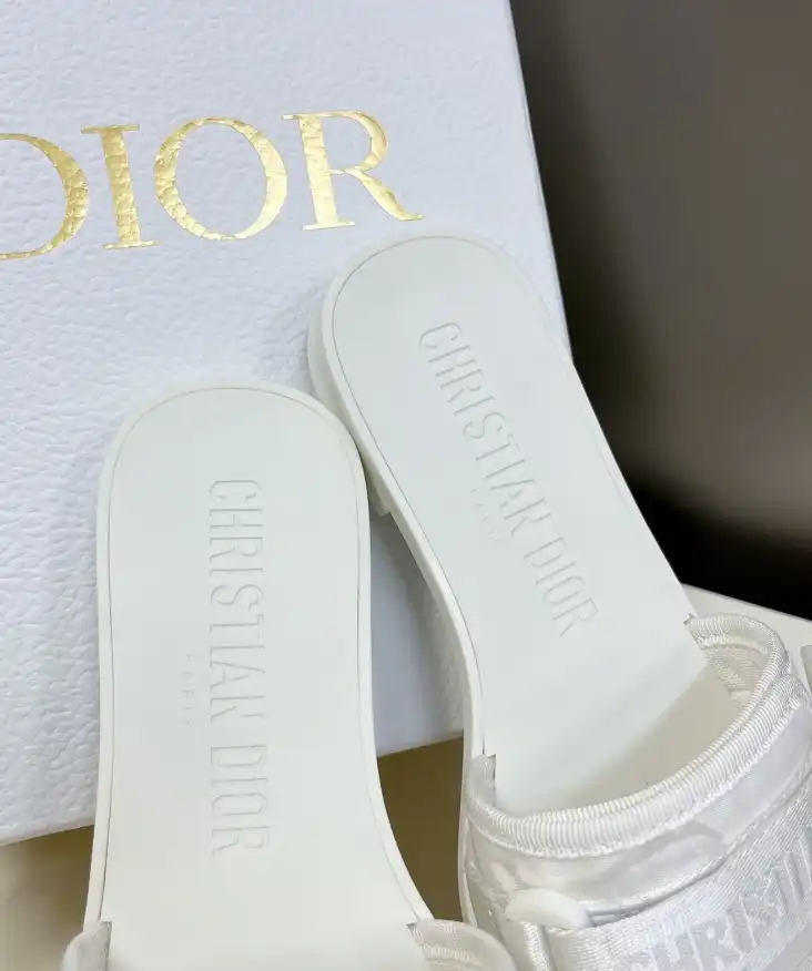 hype Christian Dior Slippers