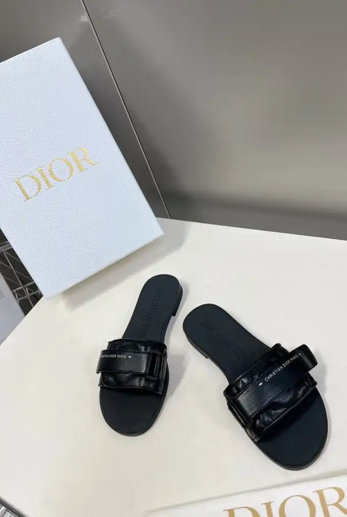 hype Christian Dior Slippers