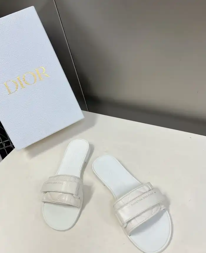 hype Christian Dior Slippers