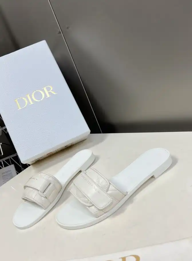 hype Christian Dior Slippers