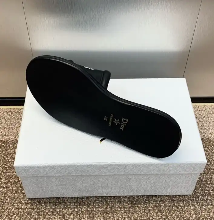 hype Christian Dior Slippers