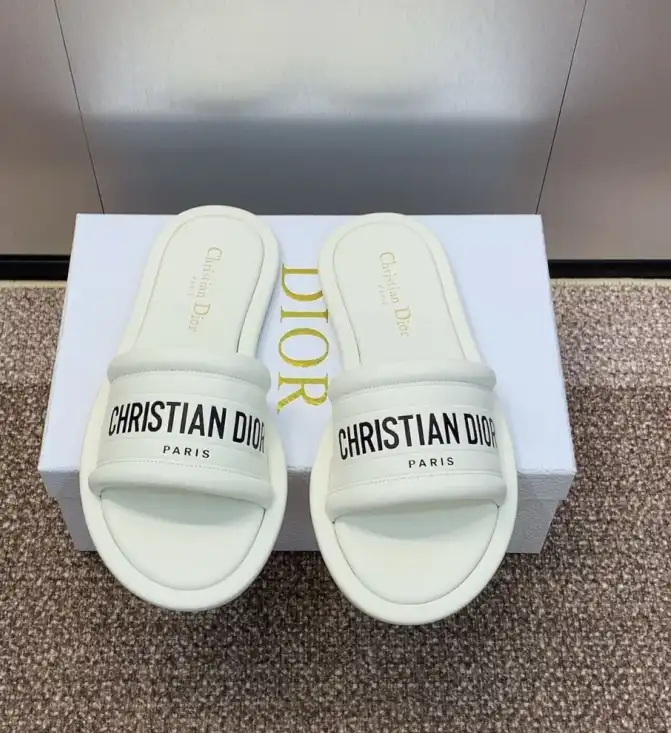 hype Christian Dior Slippers