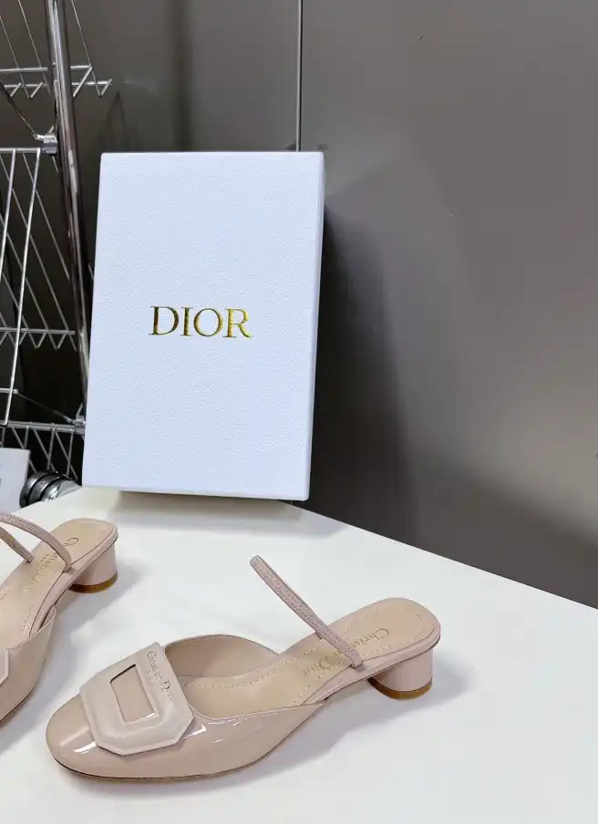 hype Christian Dior Sandals