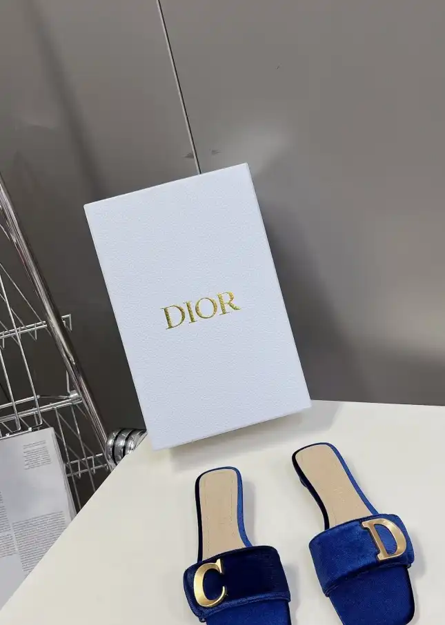 hype Christian Dior Slippers