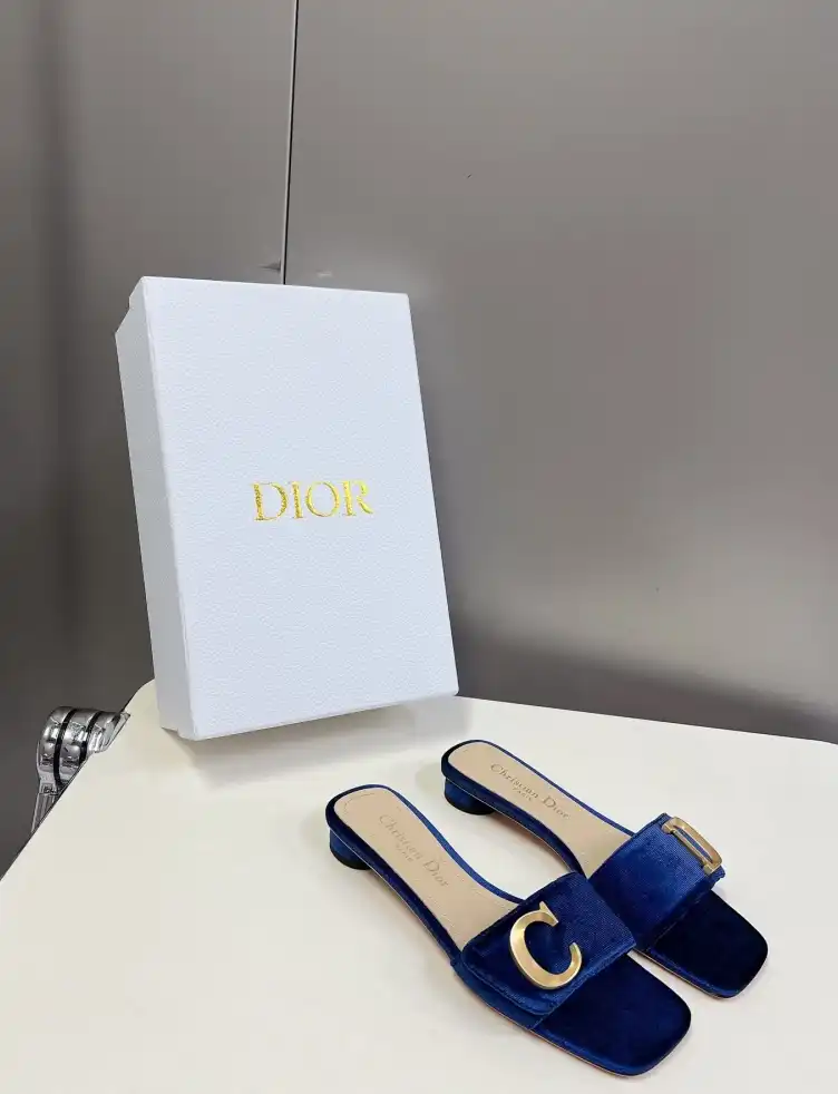 hype Christian Dior Slippers