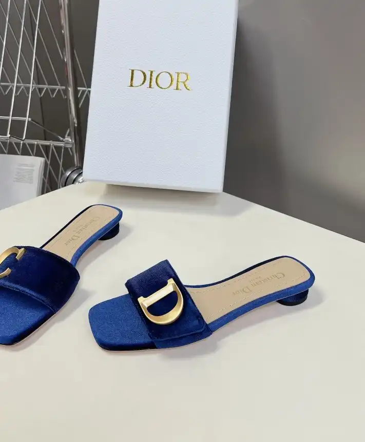 hype Christian Dior Slippers