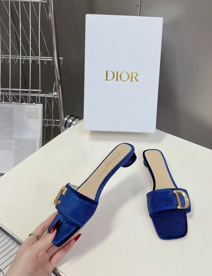 hype Christian Dior Slippers