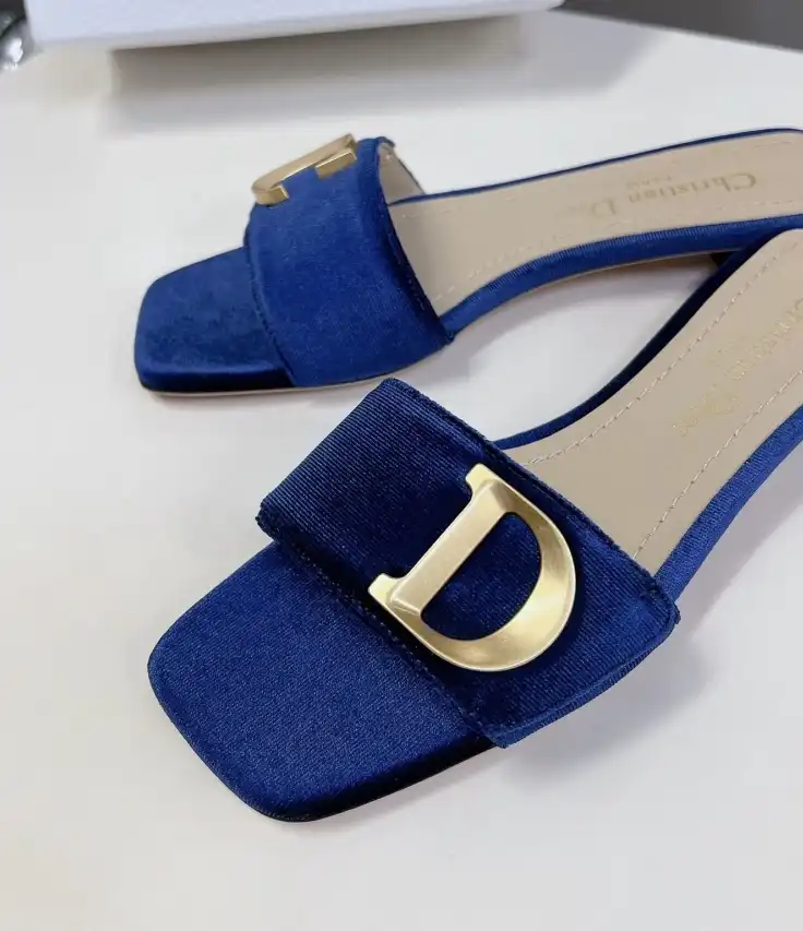 hype Christian Dior Slippers