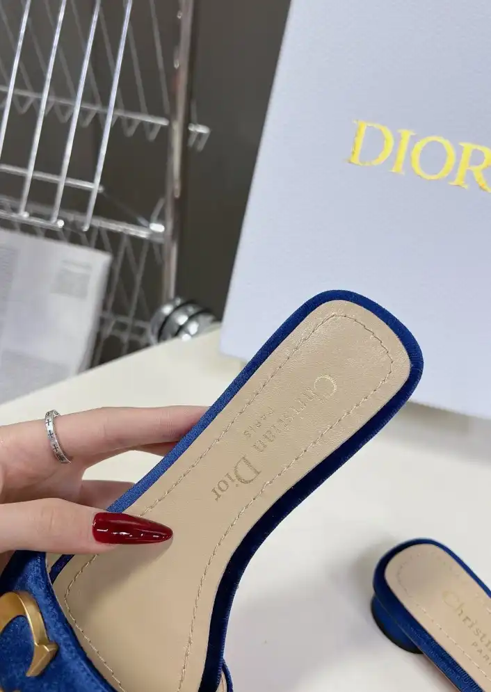 hype Christian Dior Slippers