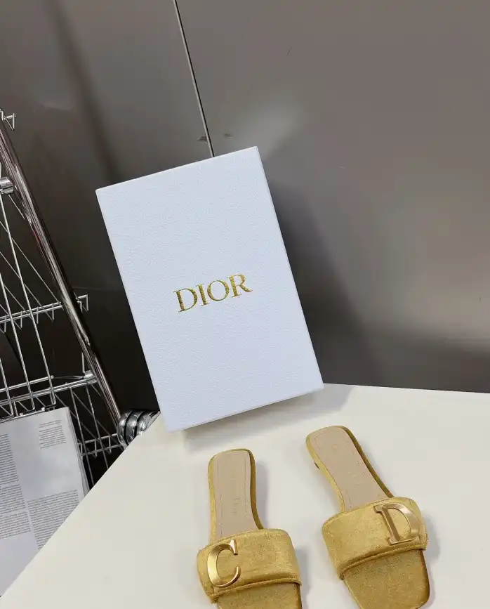 hype Christian Dior Slippers