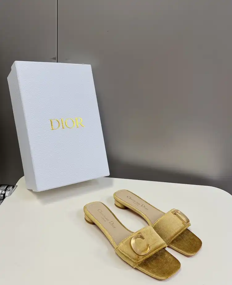 hype Christian Dior Slippers