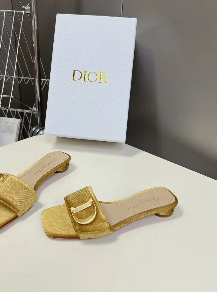 hype Christian Dior Slippers