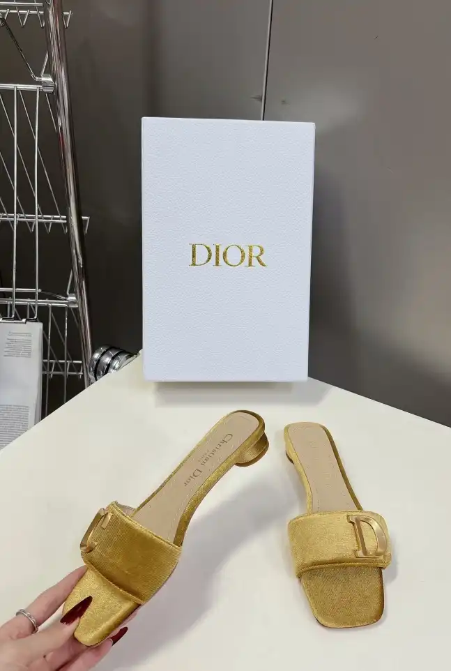 hype Christian Dior Slippers