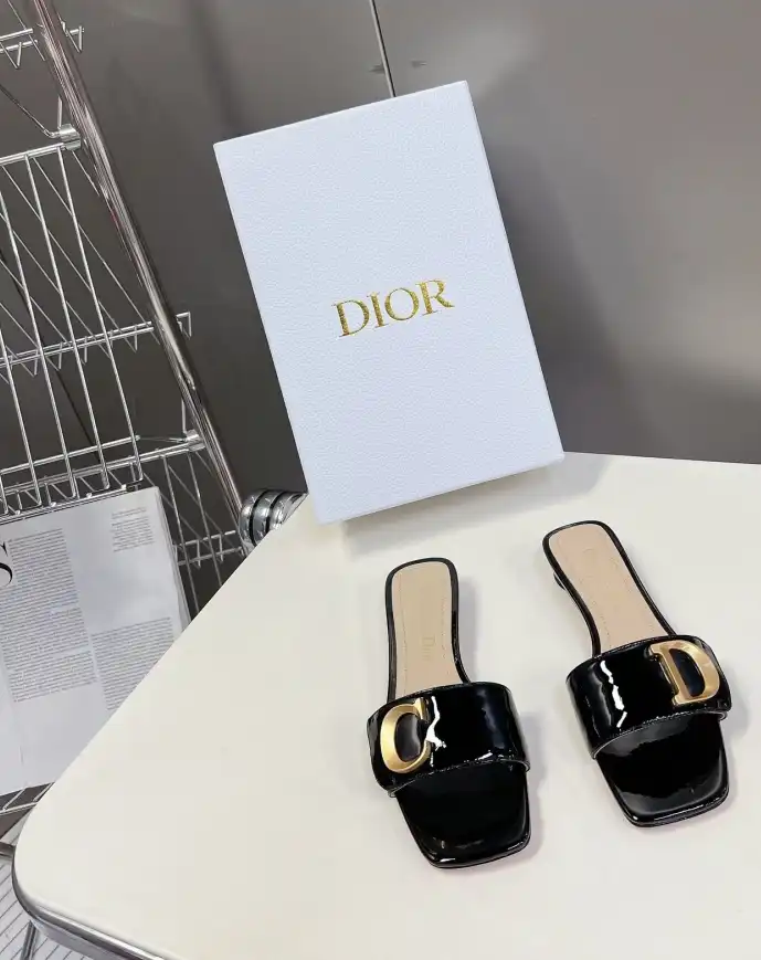 hype Christian Dior Slippers