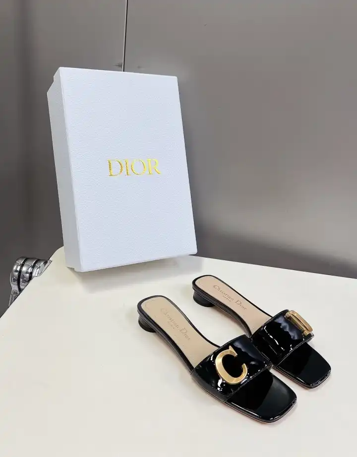 hype Christian Dior Slippers