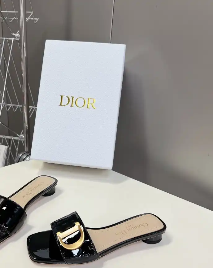 hype Christian Dior Slippers