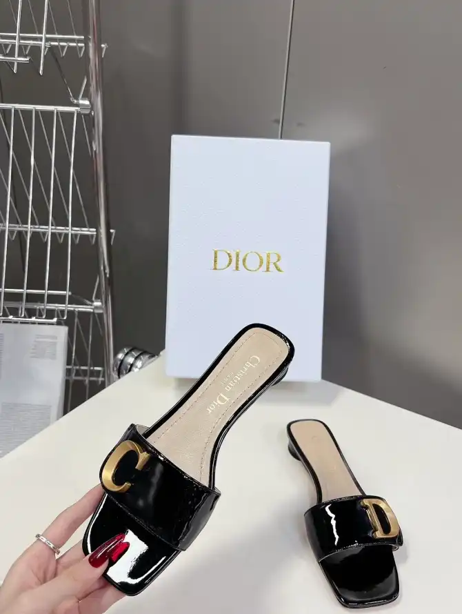 hype Christian Dior Slippers