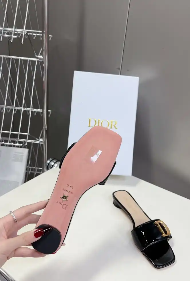 hype Christian Dior Slippers