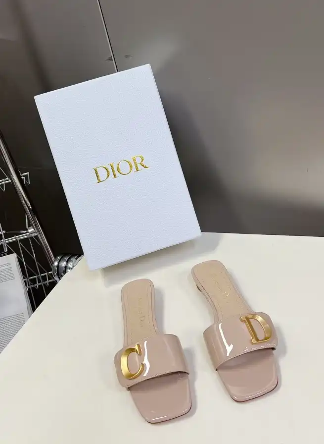 hype Christian Dior Slippers