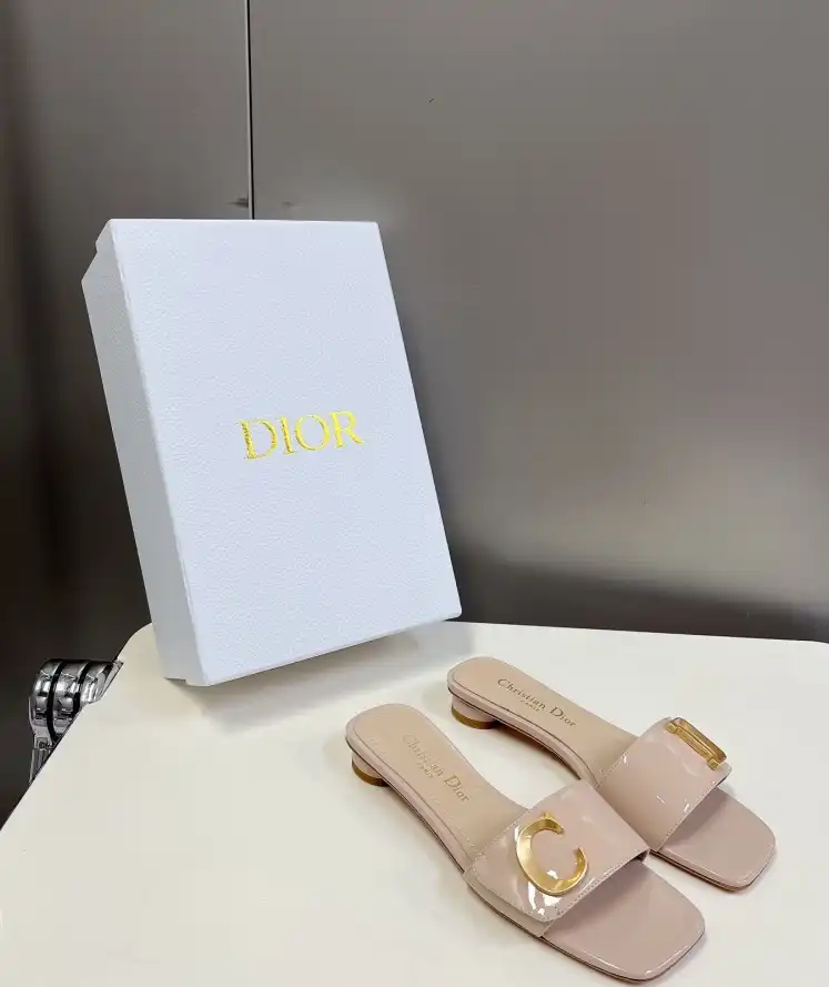 hype Christian Dior Slippers