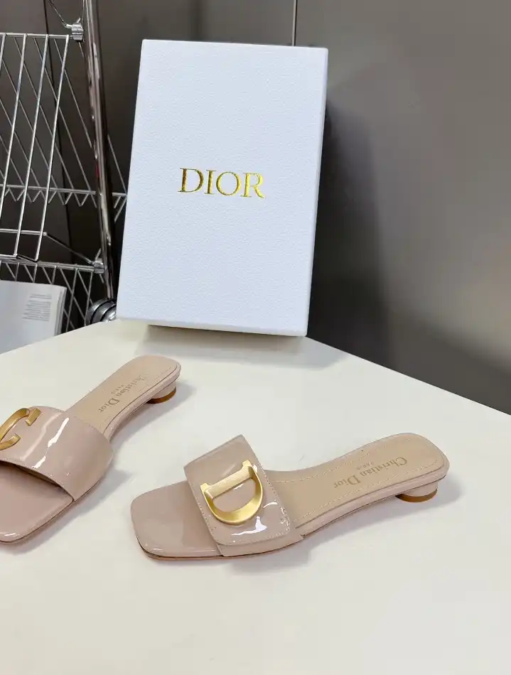 hype Christian Dior Slippers