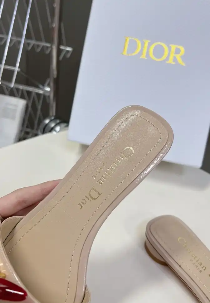 hype Christian Dior Slippers