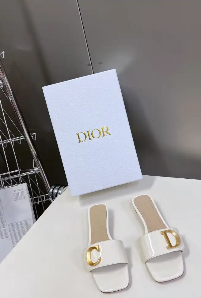 hype Christian Dior Slippers