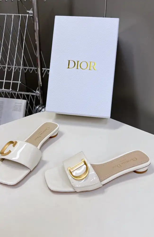 hype Christian Dior Slippers