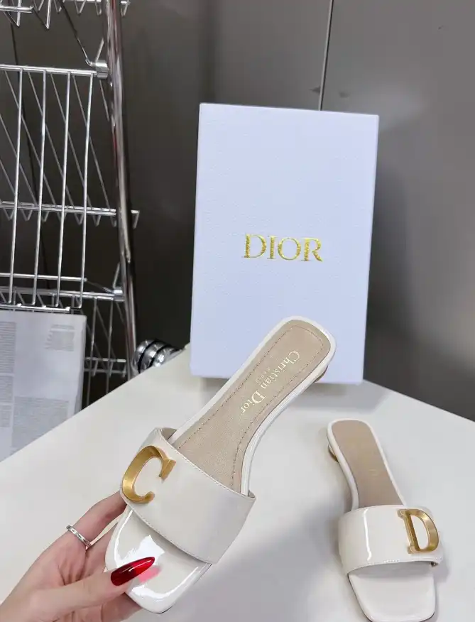 hype Christian Dior Slippers