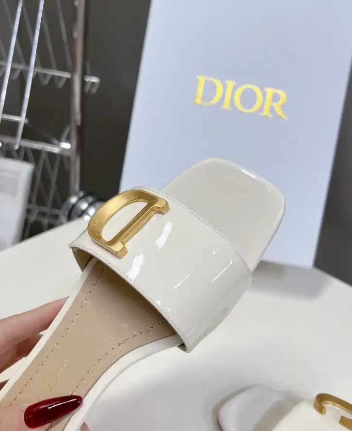 hype Christian Dior Slippers