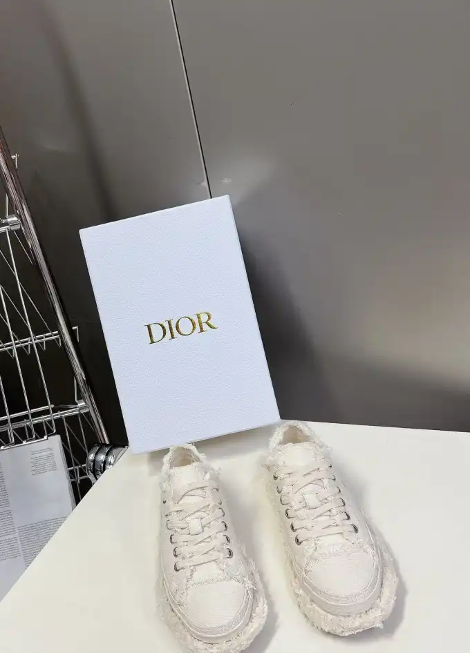 hype Christian Dior Casual Shoes